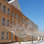 Foto z alba u článku