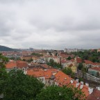 Foto z alba u článku