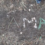 Foto z alba u článku