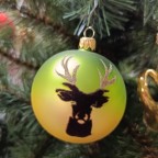 Foto z alba u článku